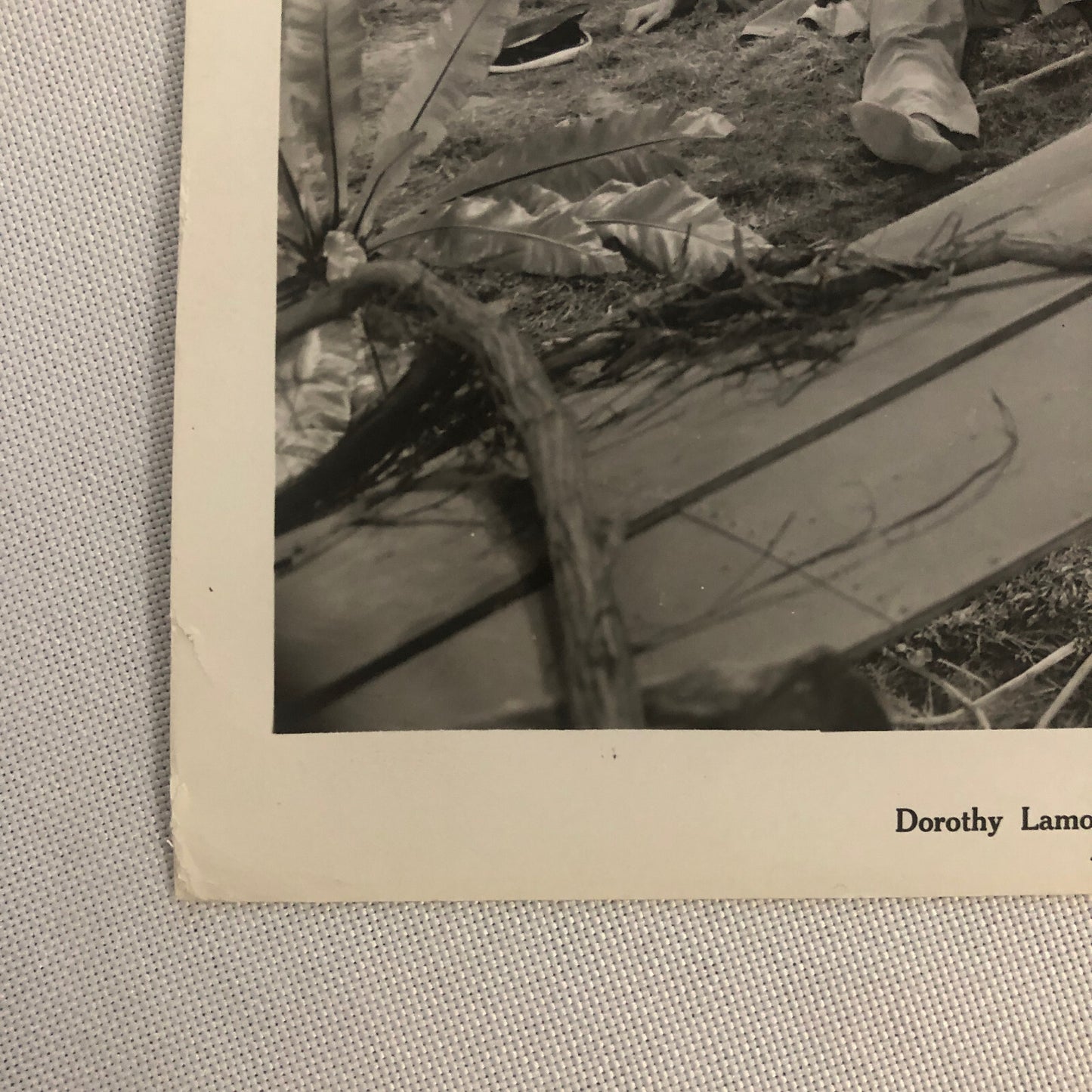 Rainbow Island 1943 Movie Still Press Photo Photograph Dorothy Lamour +