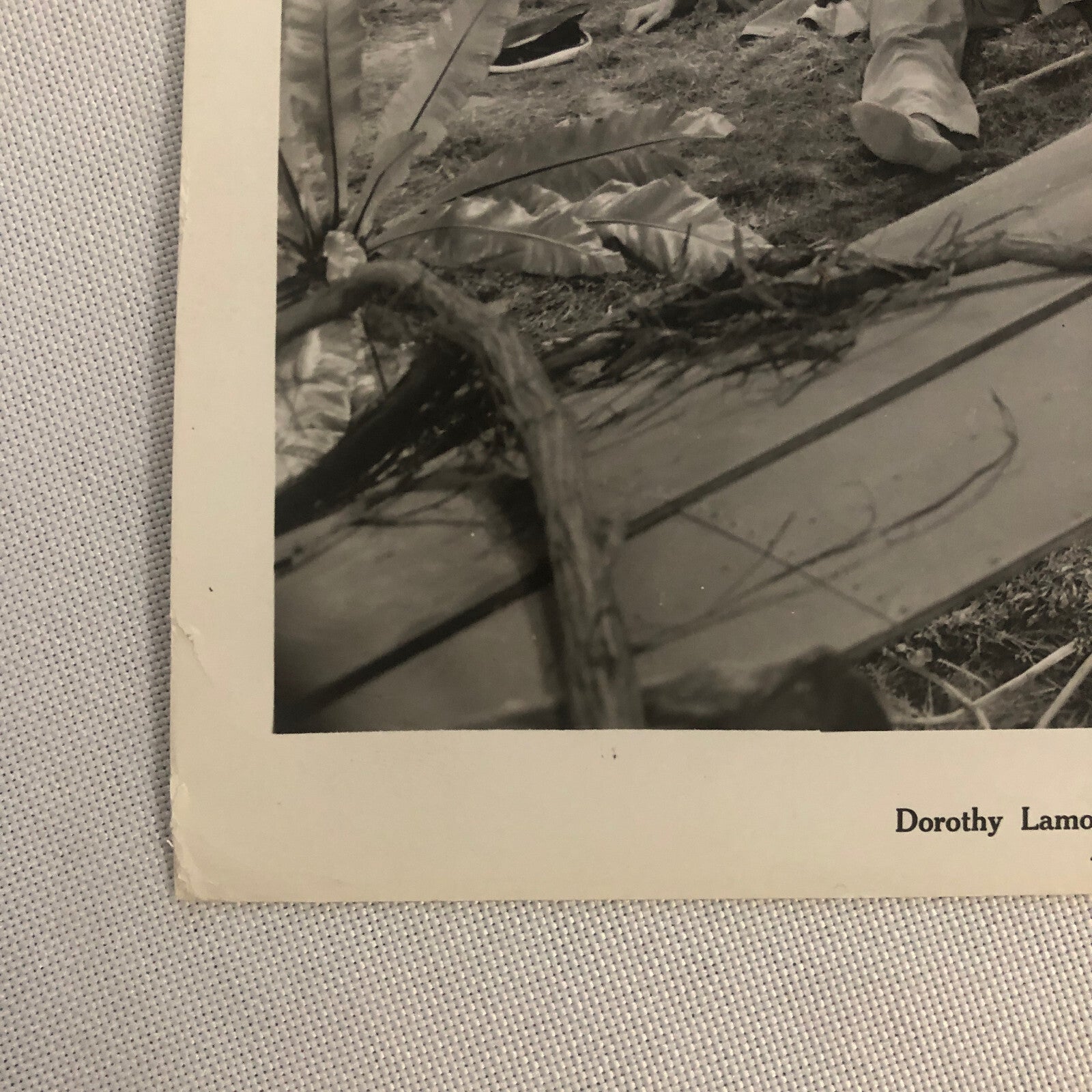 Rainbow Island 1943 Movie Still Press Photo Photograph Dorothy Lamour +