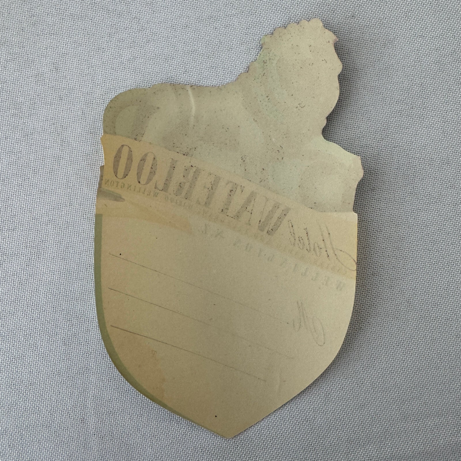 Vintage Hotel Travel Luggage Label Hotel Waterloo Wellington New Zealand Lion