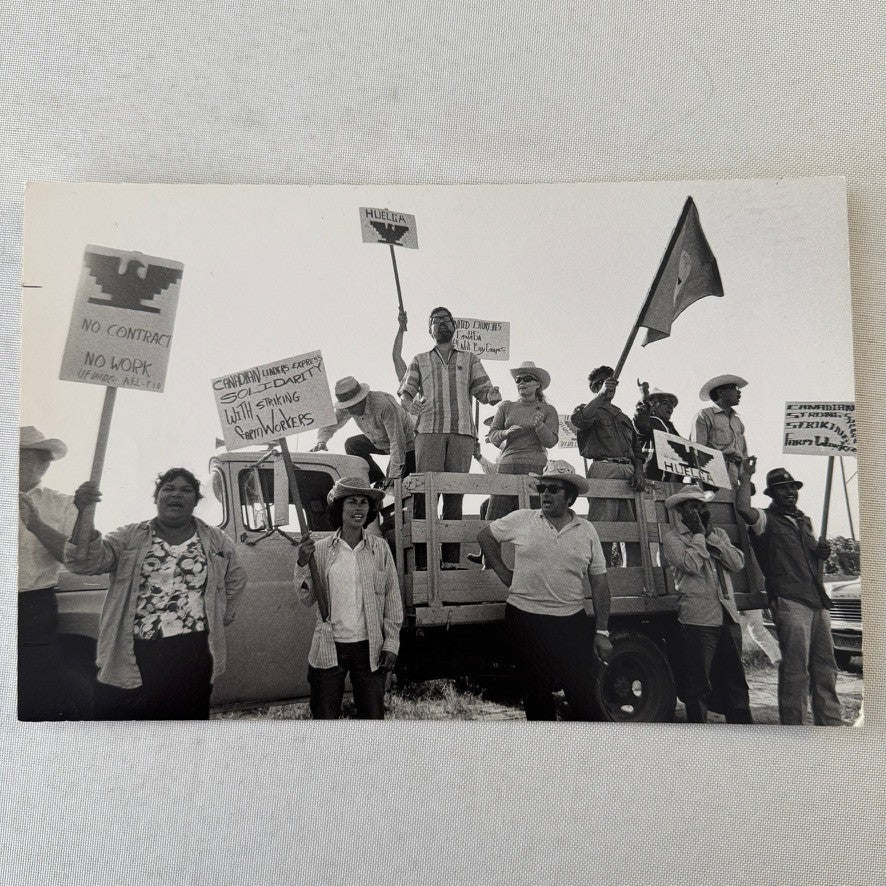 United Farmworkers Union Strike Labour Labor Canada Press Photo Photograph