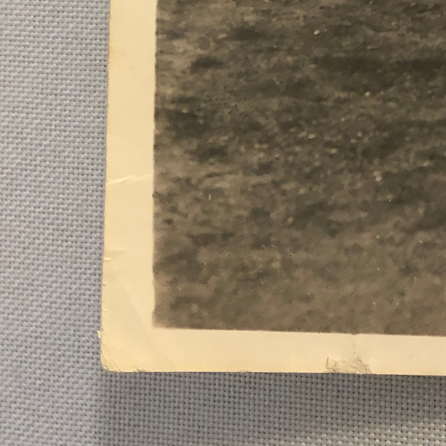 Bristol Scout Airplane Aircraft Plane Photo Photograph Vintage