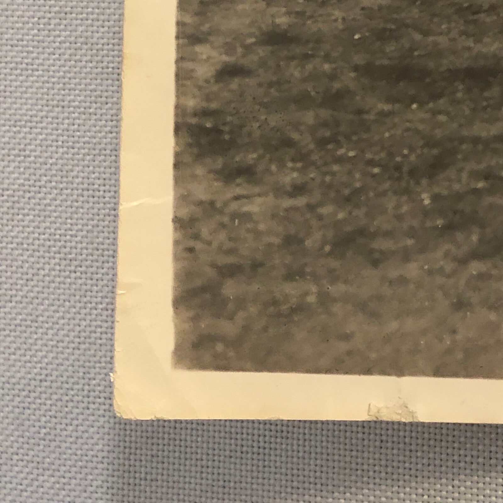 Bristol Scout Airplane Aircraft Plane Photo Photograph Vintage