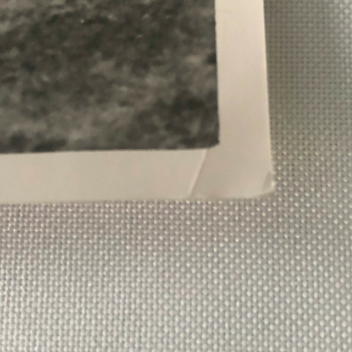 Vintage 1959 Racing Photo Photograph Driver Stirling Moss Jack Brabham Oulton