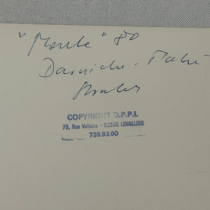 1980 Rallye Monte Carlo Press Photo Photograph DPPI Lancia Stratos HF Car