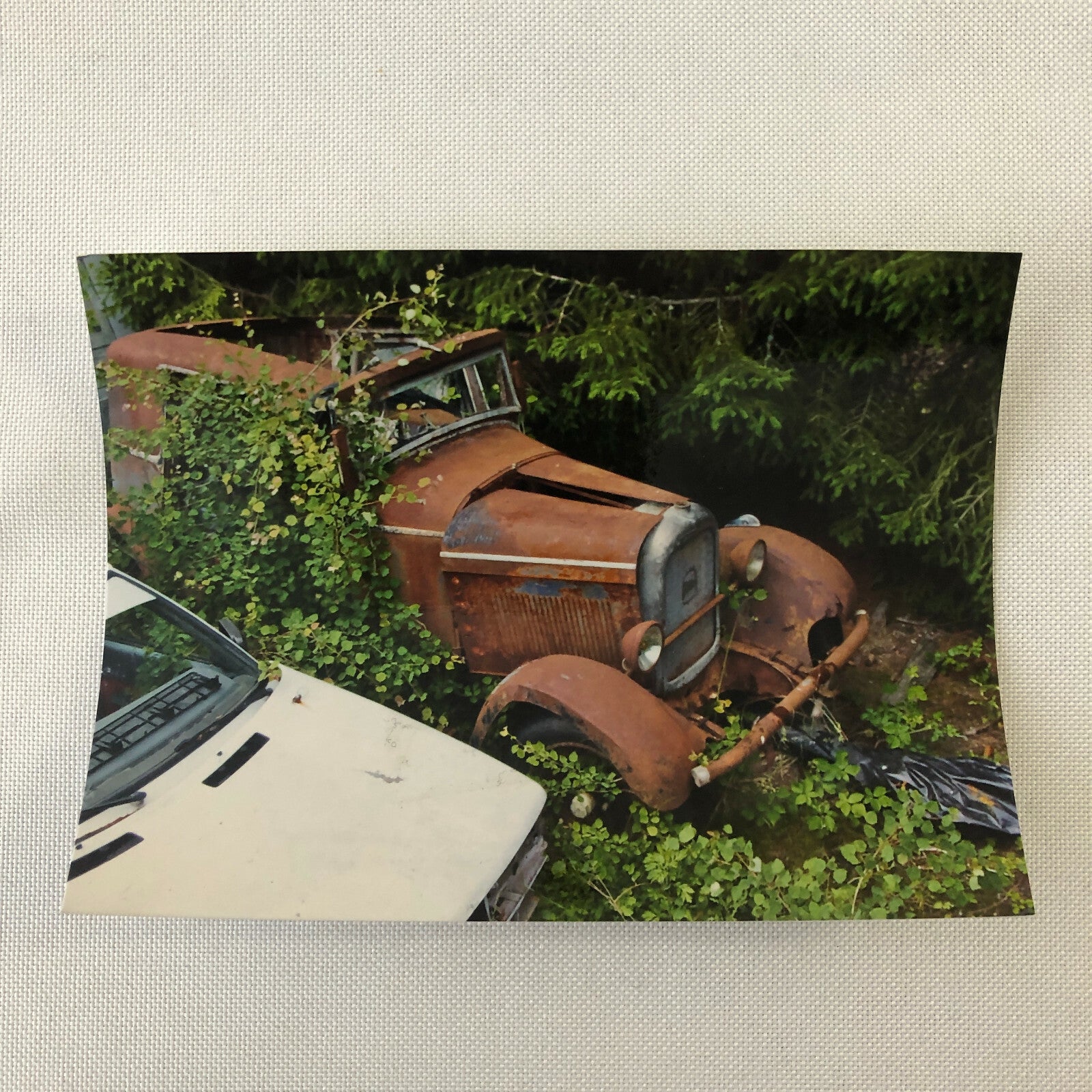 Vintage Delahaye Car Barn Find Junk Yard Part Photo Photograph Lot of 12