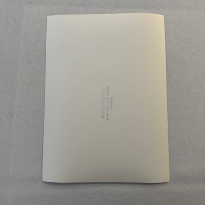 Volkswagen VW Rabbit Racing Car Photo Photograph Print DPPI Press Photo