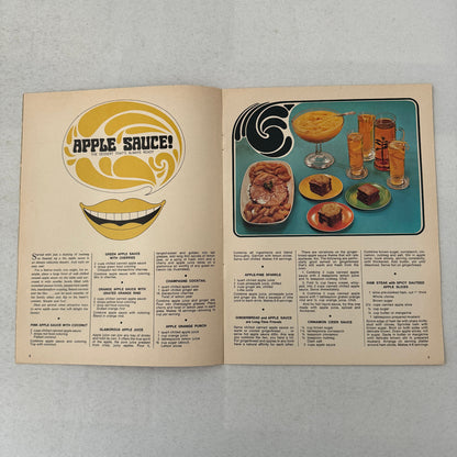 1968 Dodge Factory Magazine Brochure Dodge Charger R/T Ron Mancini Dart Polara