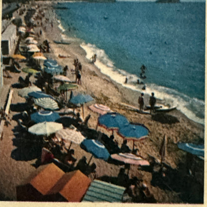 Vintage Hotel Travel Luggage Label Hotel Spotorno Riviera Delle Palme Italy