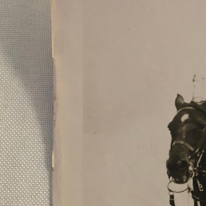 Press Photo Photograph Aldershot Tattoo Horseback 1933 3rd Dragoon Guards