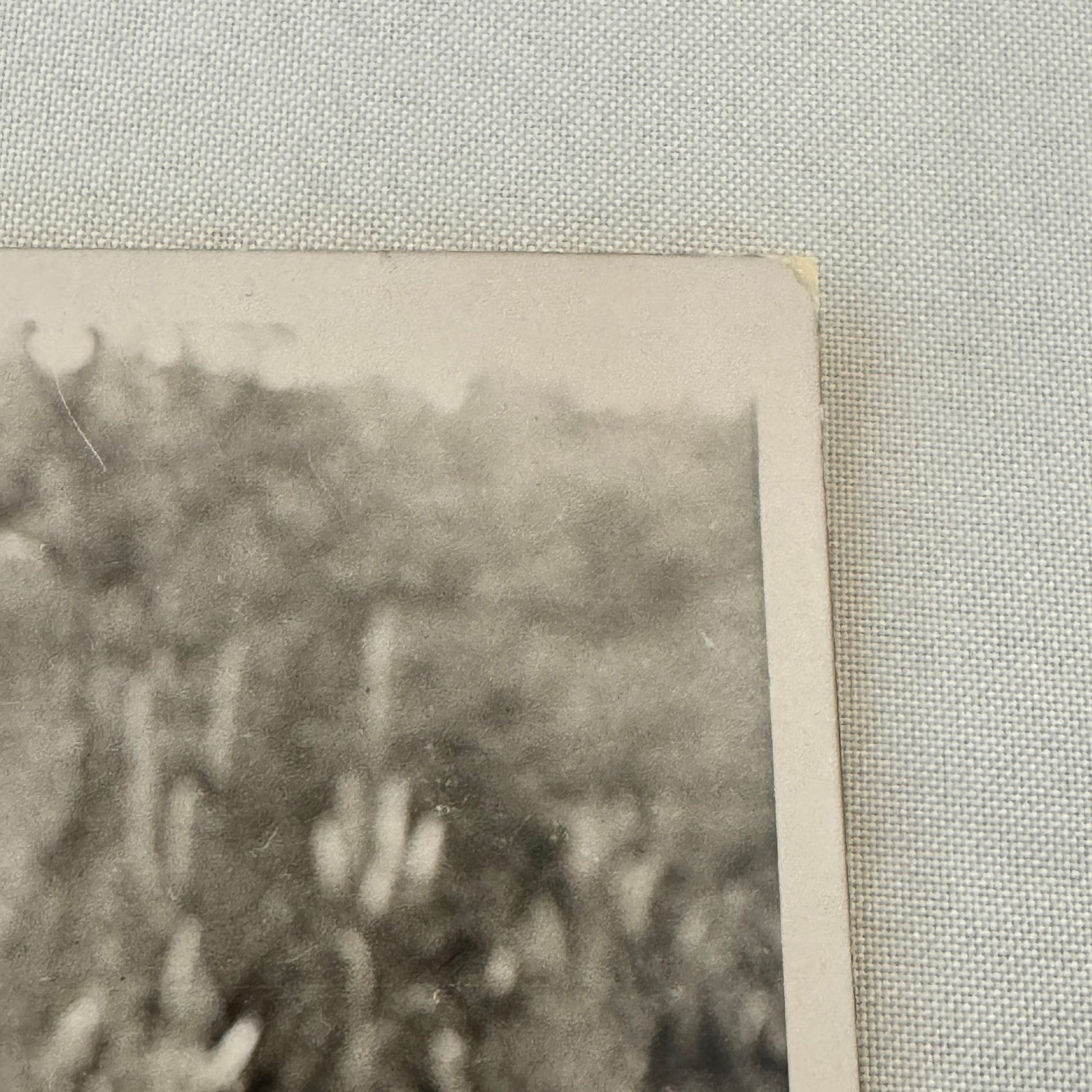 Edward Prince of Wales King Edward VIII Nepal Tiger Hunt Press Photo Photograph