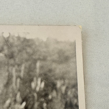 Edward Prince of Wales King Edward VIII Nepal Tiger Hunt Press Photo Photograph