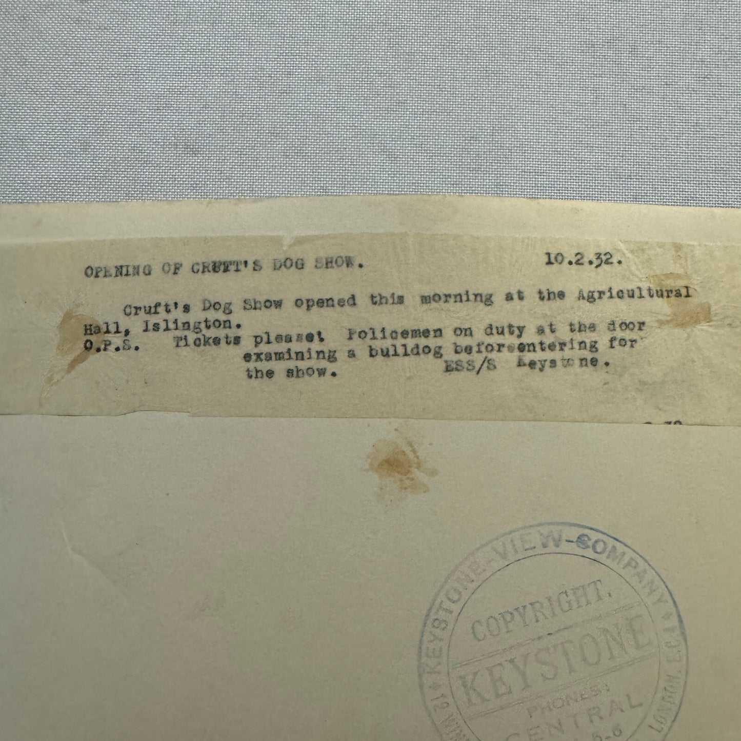 1932 British Dog Show Keystone Press Photo Photograph Crufts Dog Show