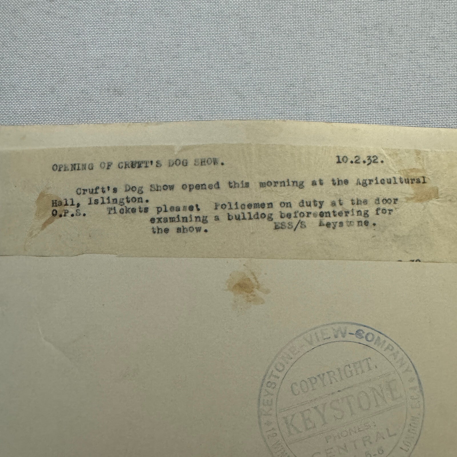 1932 British Dog Show Keystone Press Photo Photograph Crufts Dog Show