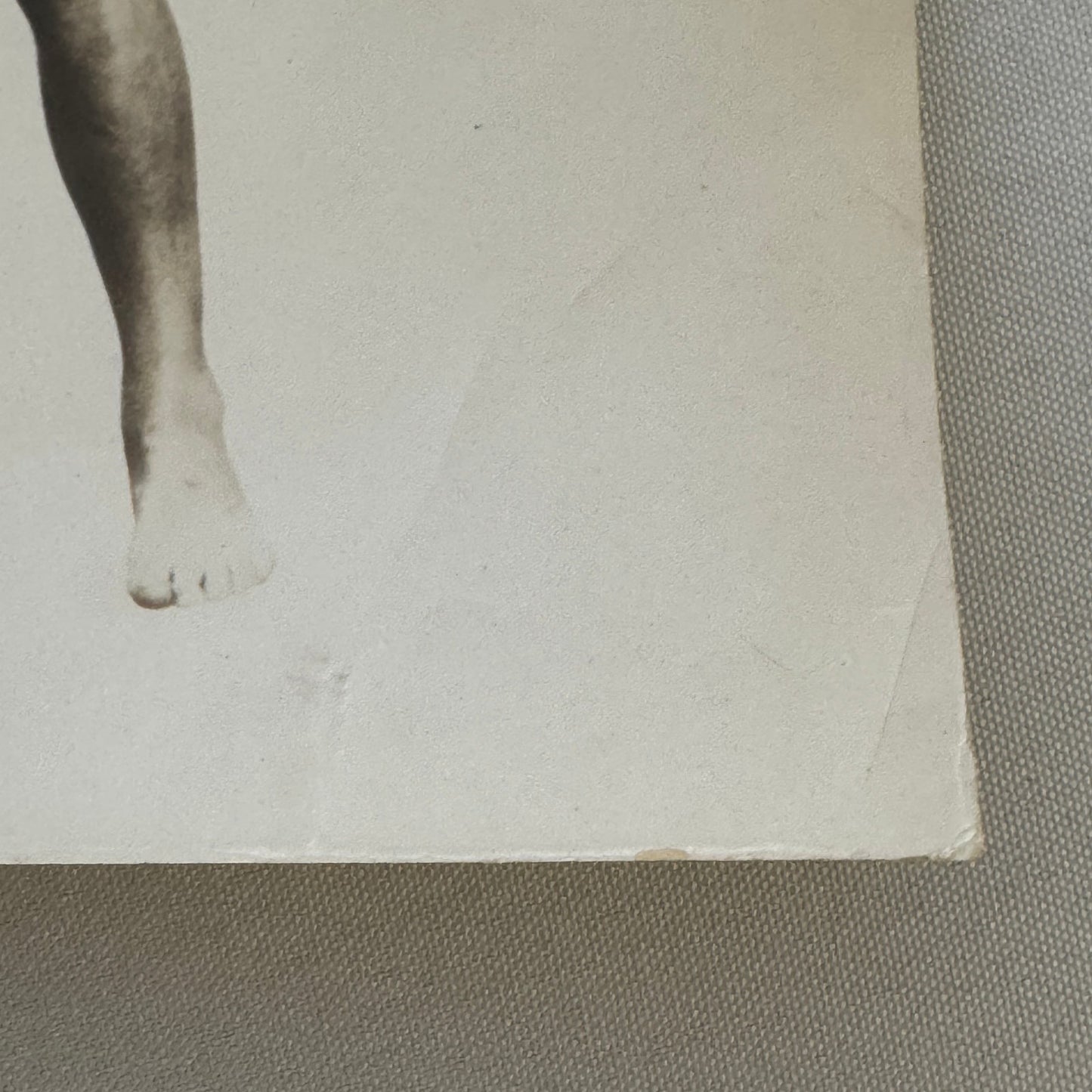 Vintage Actor Photograph Robert Montgomery Working Out Photo Medicine Ball