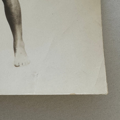 Vintage Actor Photograph Robert Montgomery Working Out Photo Medicine Ball