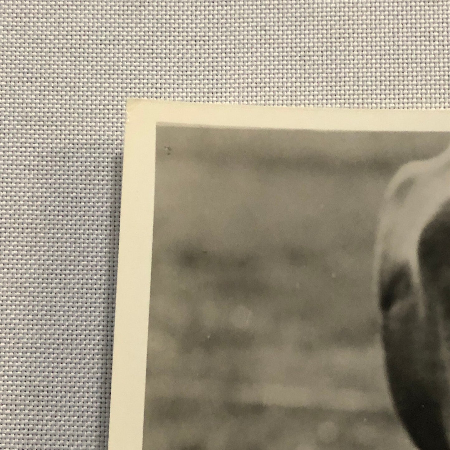 True Heart Susie Vintage Movie Film Still Photo Photograph Modern Print