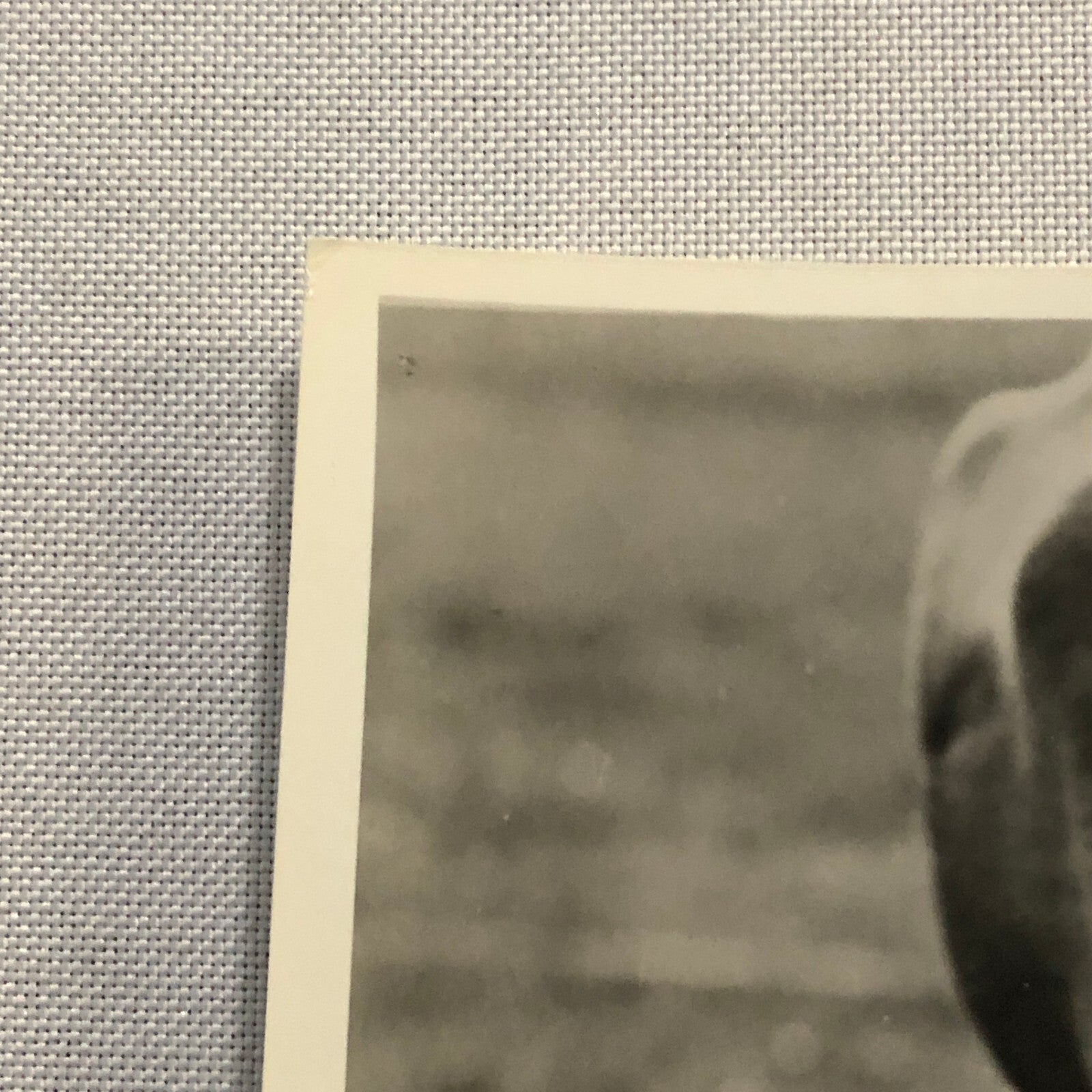 True Heart Susie Vintage Movie Film Still Photo Photograph Modern Print