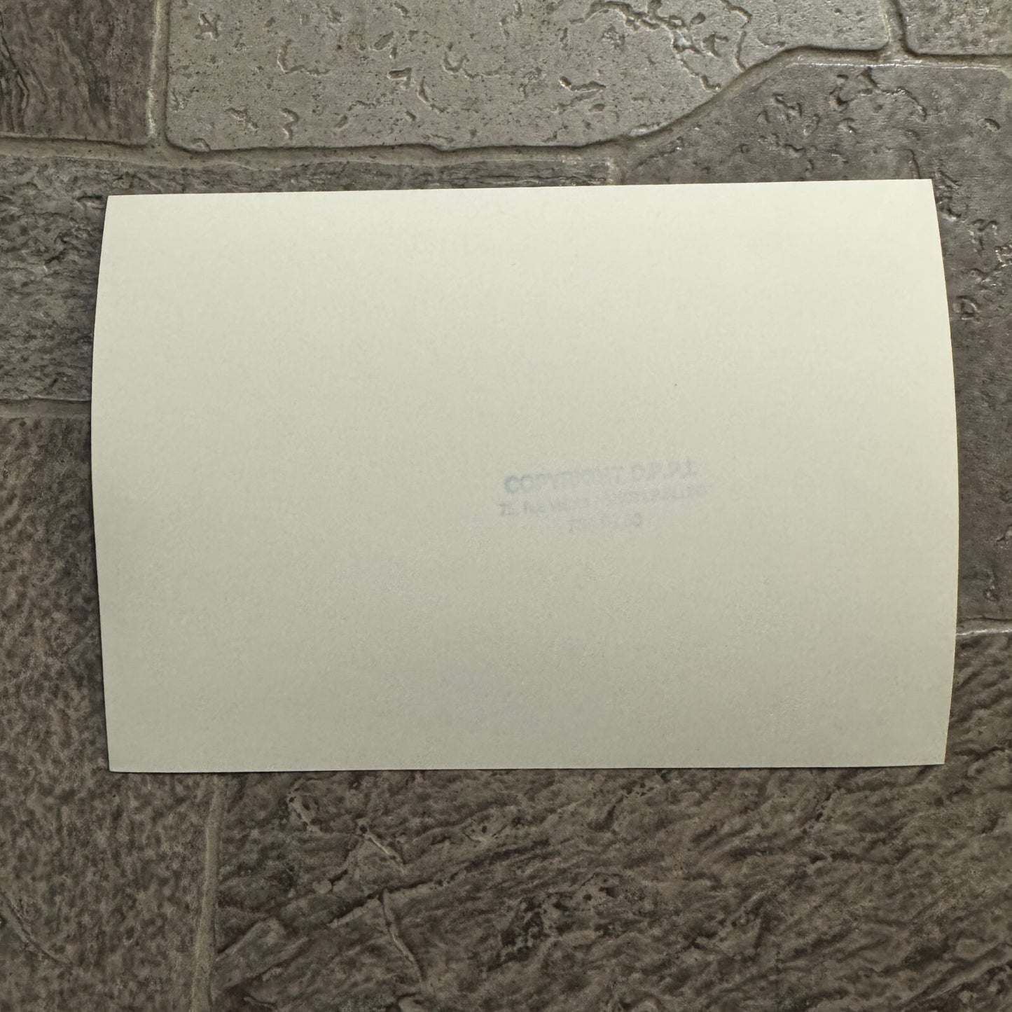 1980 RAC Rally Rallye Car Racing Photo Photograph Car Vintage