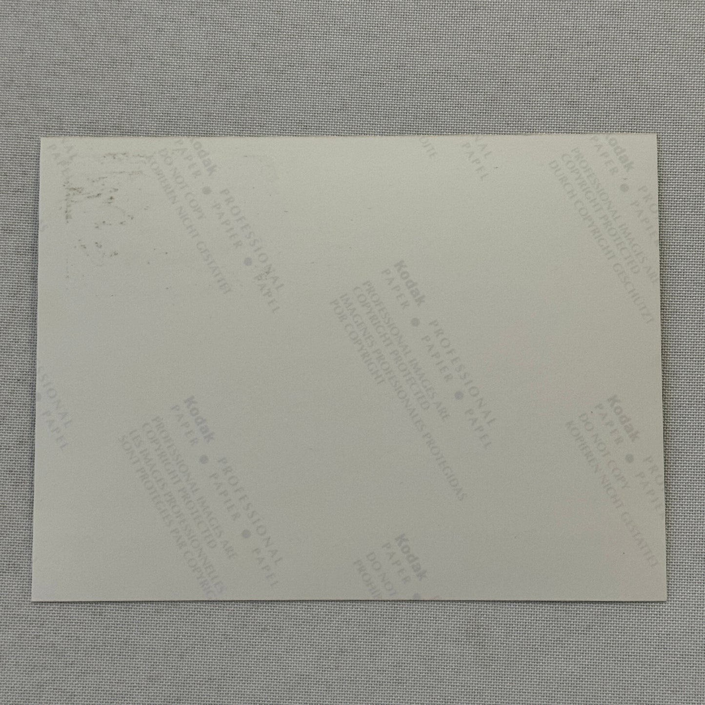 1998 Porsche 911 Carrera Car Factory Press Photo Photograph