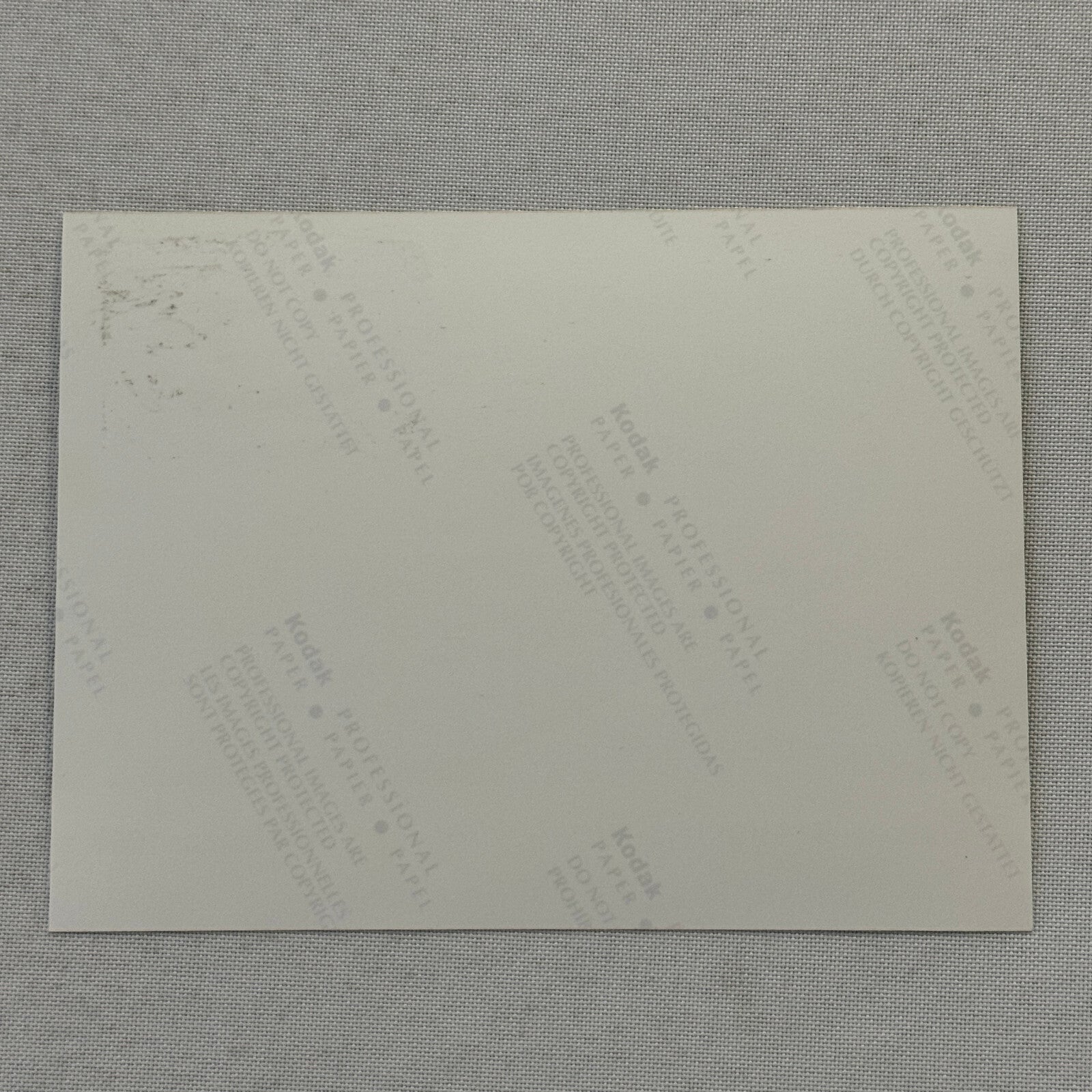 1998 Porsche 911 Carrera Car Factory Press Photo Photograph