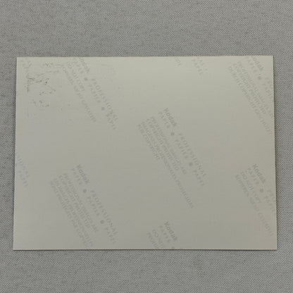 1998 Porsche 911 Carrera Car Factory Press Photo Photograph