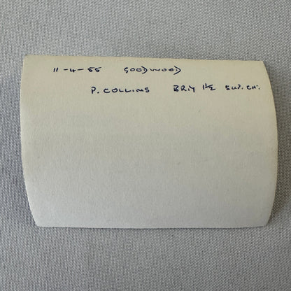 Vintage Racing Photo Peter Collins Goodwood 1955 Motorsport Photograph