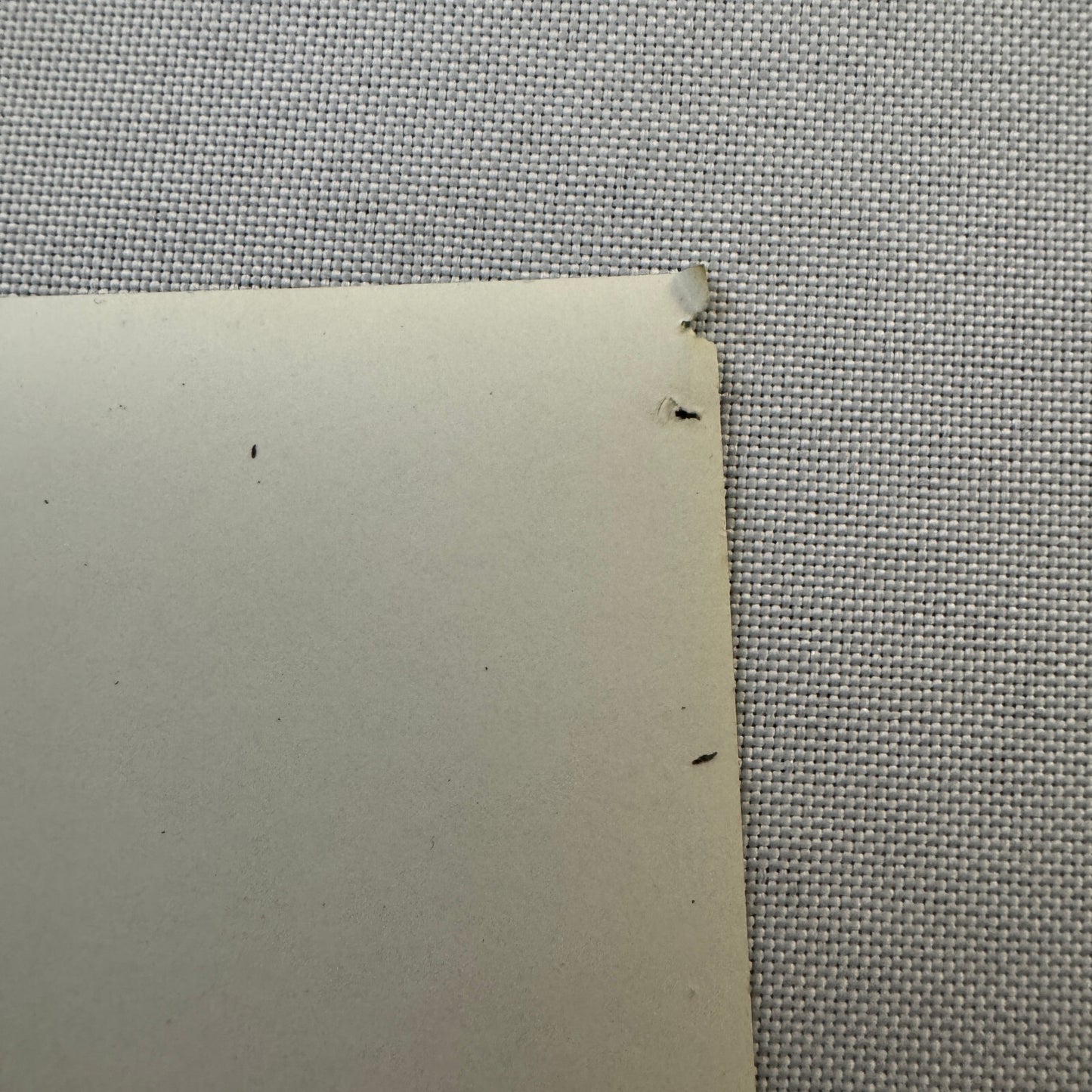 Volkswagen Karmann Ghia Car Vintage Photo Photograph Print