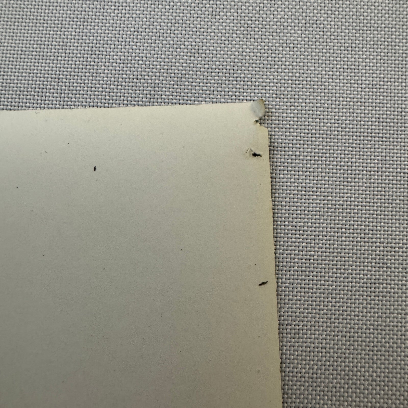 Volkswagen Karmann Ghia Car Vintage Photo Photograph Print