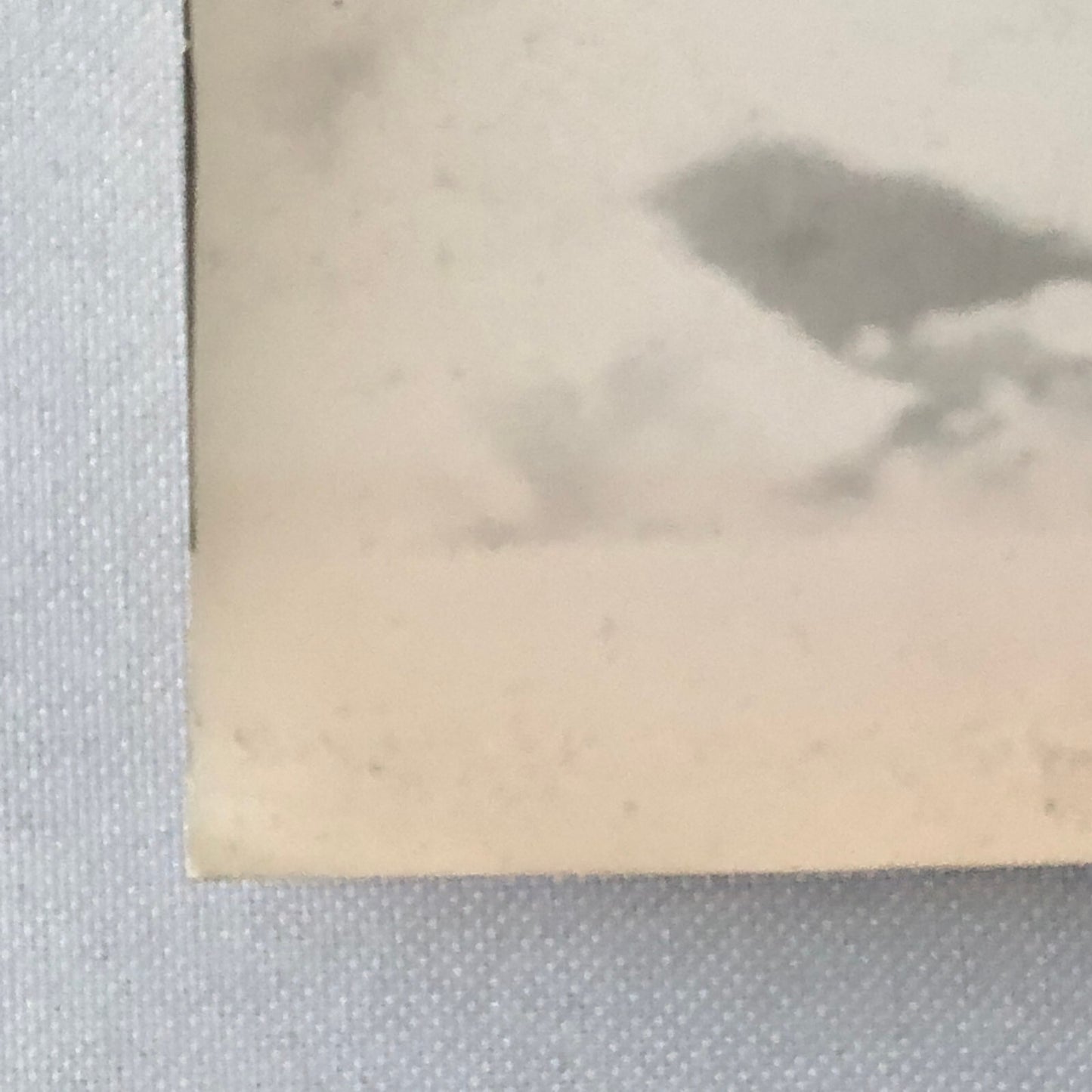 Vintage Renault Alpine Rally Racing DPPI Press Photo Photograph Print