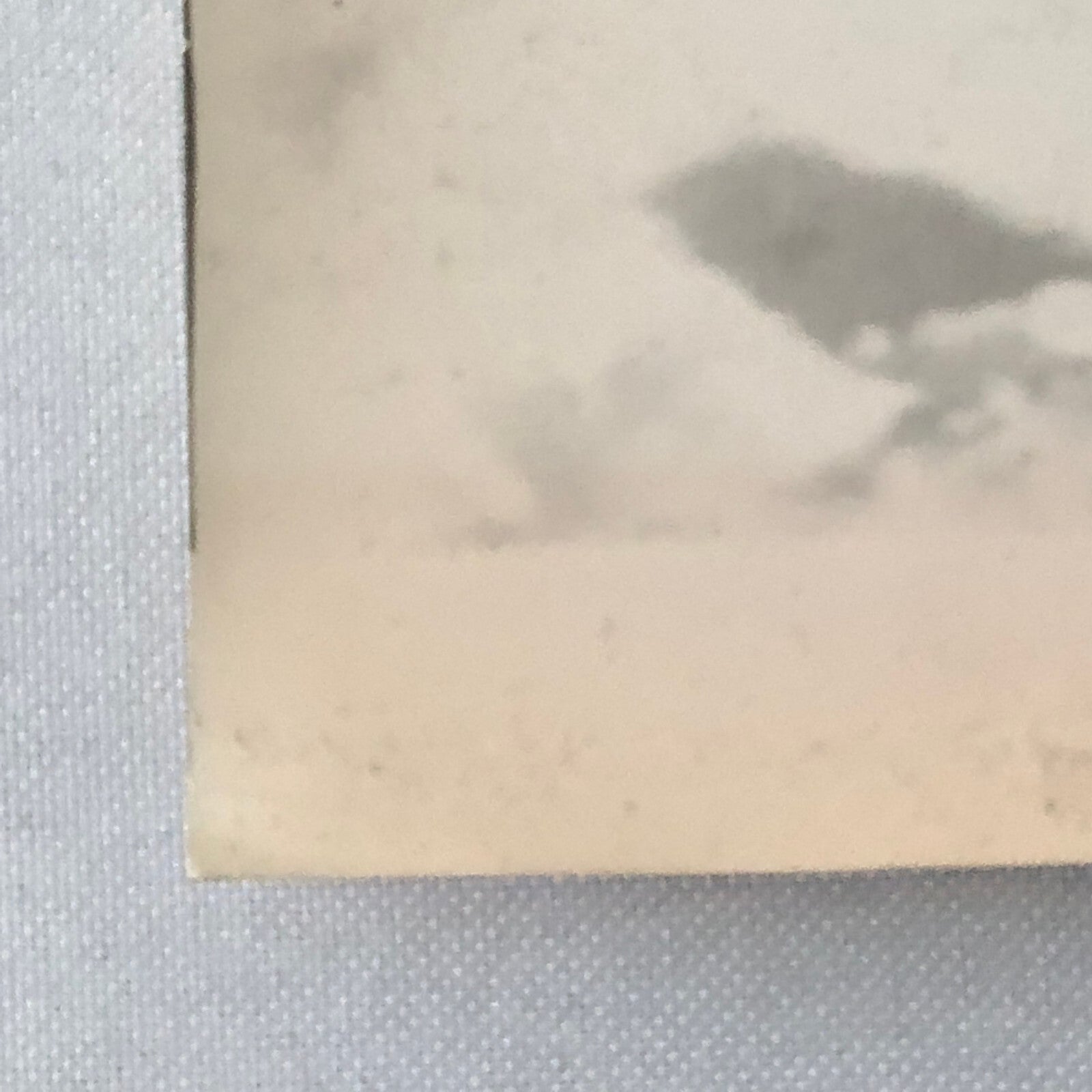 Vintage Renault Alpine Rally Racing DPPI Press Photo Photograph Print