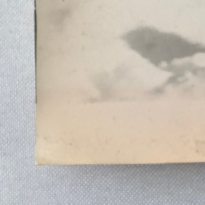 Vintage Renault Alpine Rally Racing DPPI Press Photo Photograph Print