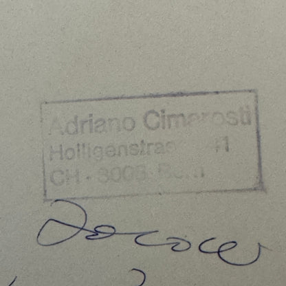 Bernie Ecclestone and Max Mosley Racing Photo Photograph Print