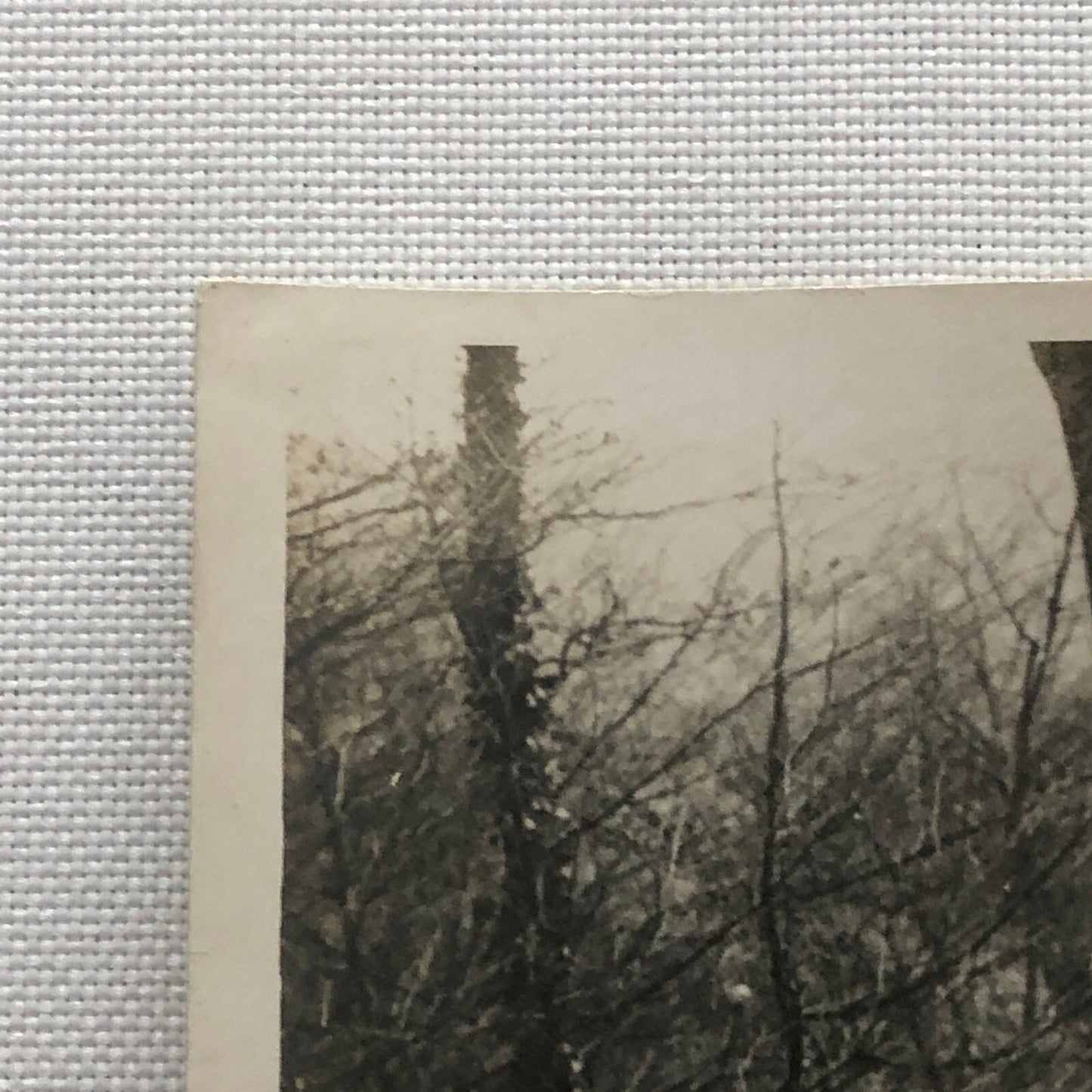 Antique Photo Photograph Road Clearing Tractor Vehicle 1920s Meurisse Rally ? 