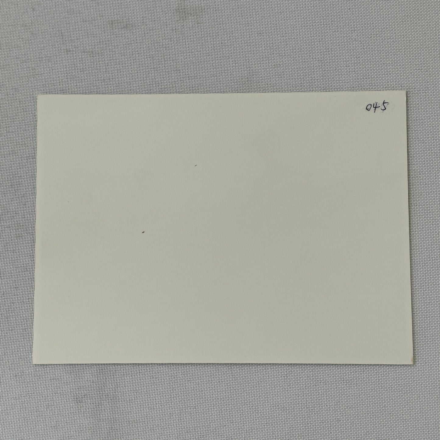 Vintage Toyota Car Factory Photo Photograph Drivers with Trophies Rally Race