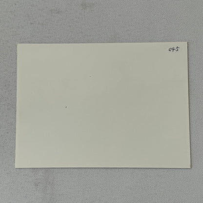 Vintage Toyota Car Factory Photo Photograph Drivers with Trophies Rally Race