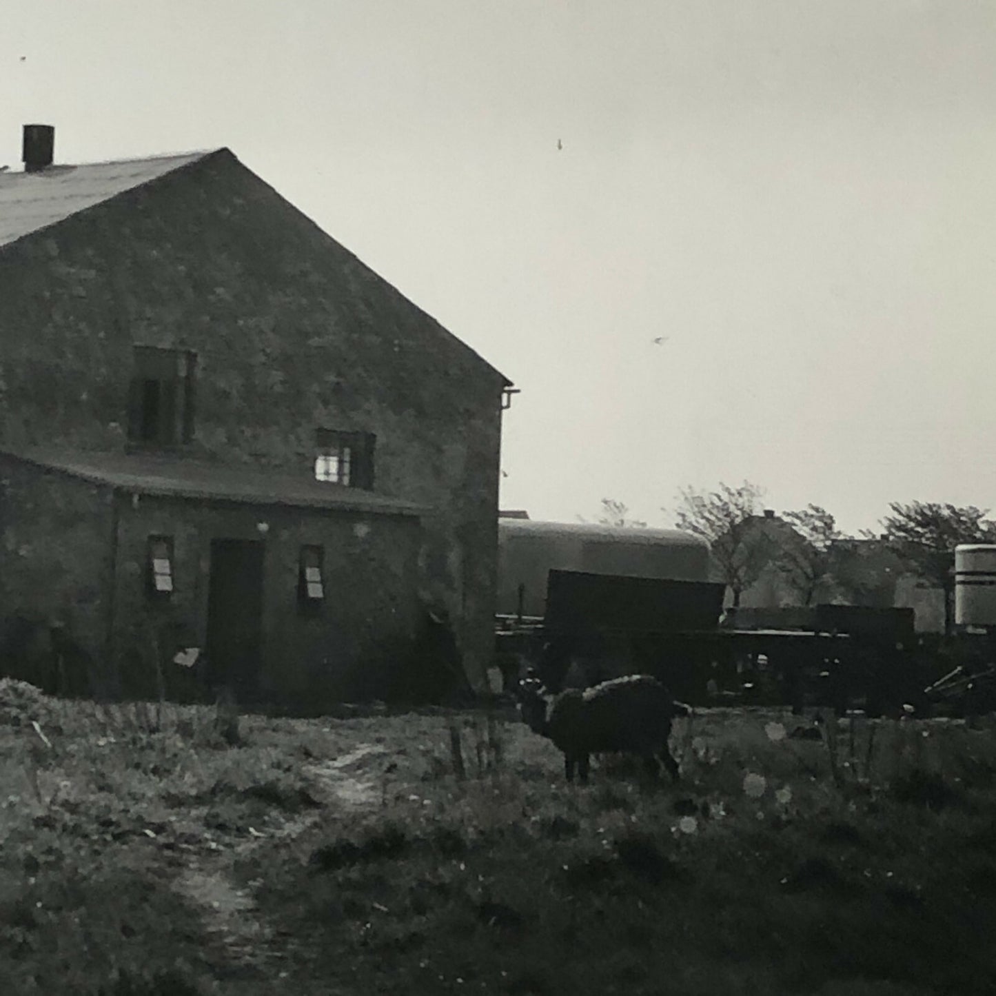Antique Vintage Factory Company Photo Photograph Lot of 5 ERGO Trailer Denmark 