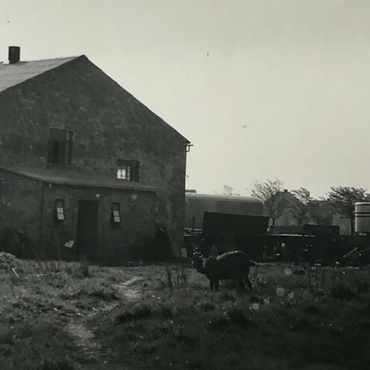 Antique Vintage Factory Company Photo Photograph Lot of 5 ERGO Trailer Denmark 