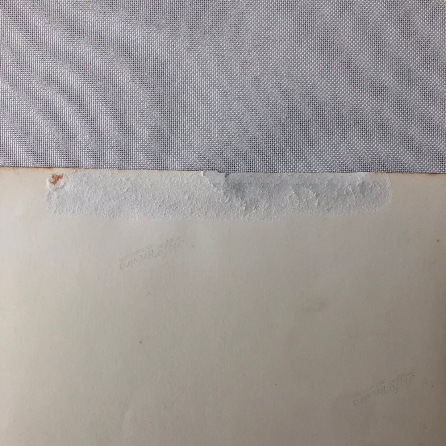 Circus Performer Wild West Show Rope Act Troupe Collins Vintage Photo German