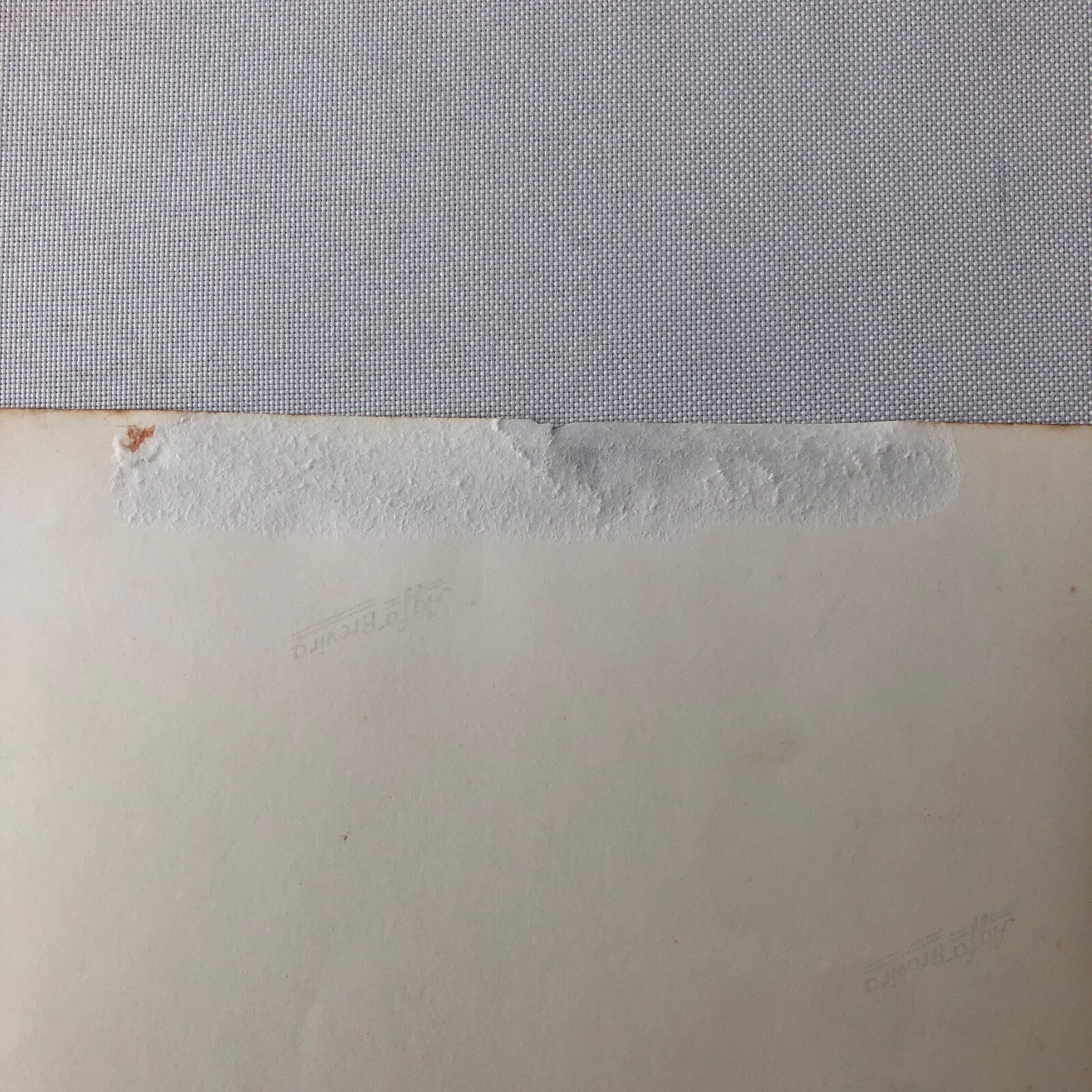 Circus Performer Wild West Show Rope Act Troupe Collins Vintage Photo German