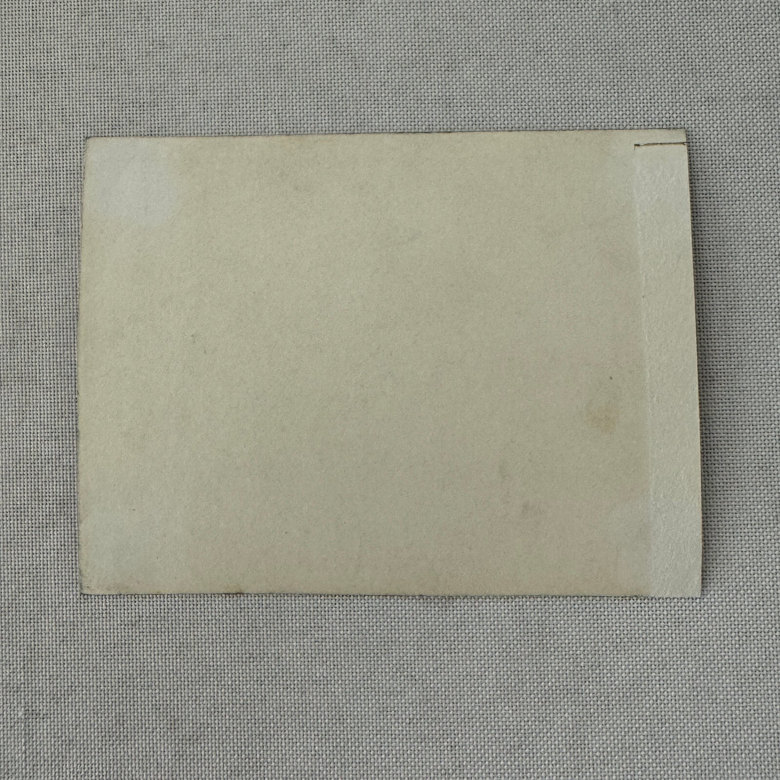 Vintage Circus Rollerskating Roller Skate Performer Big Band Photo Photograph