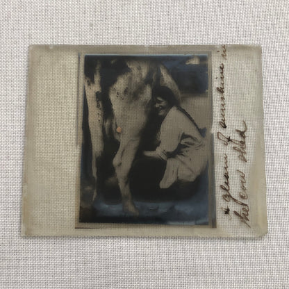 Antique Glass Plate Photo Slide Positive Woman Milking Cow Farm Barn
