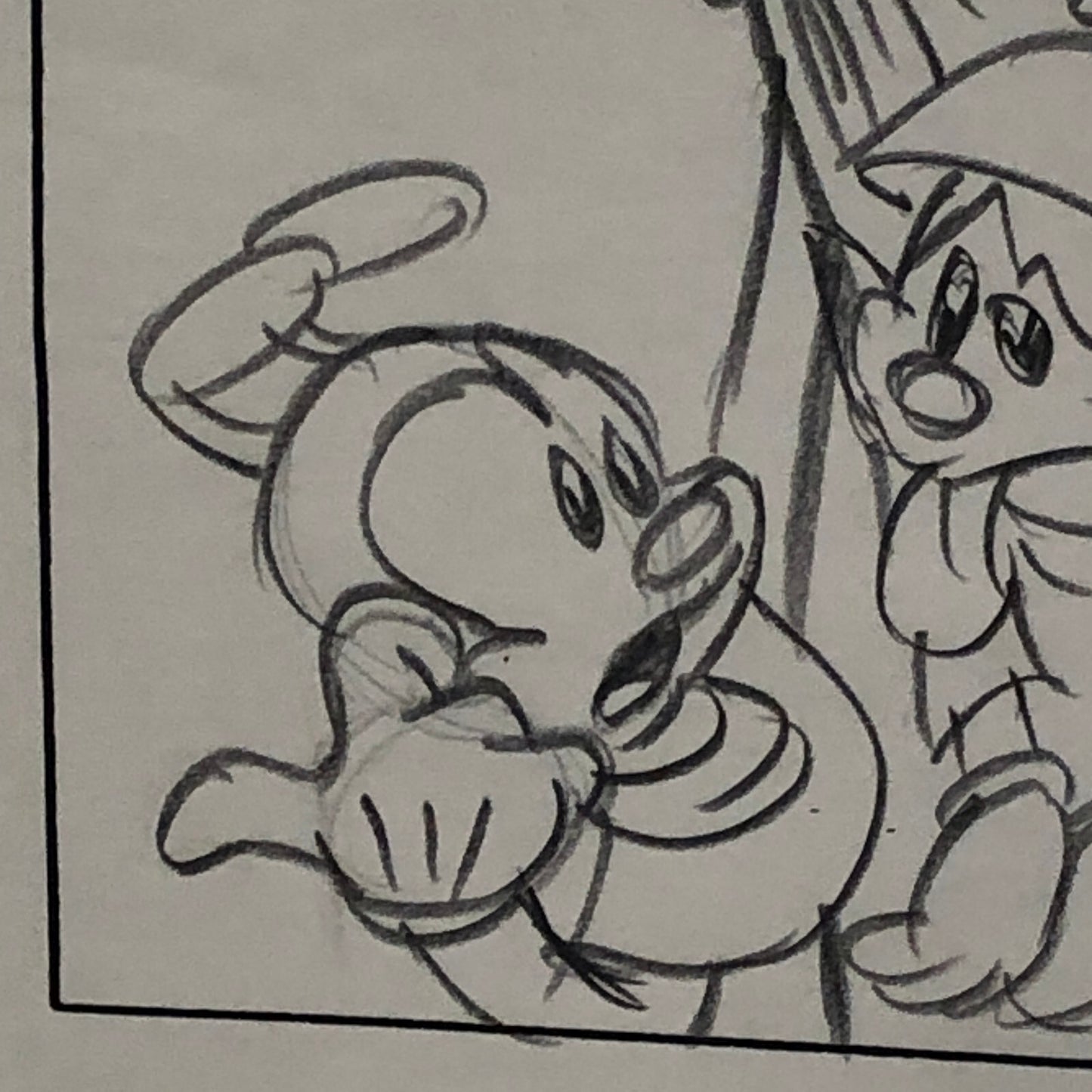 ANIMANIACS Animation Storyboard Illustration Drawing Sketch Story Board Art