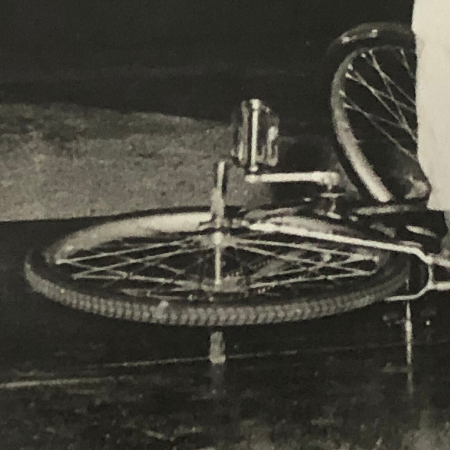 Circus Performer Girl Handstand on Bicycle Photo Photograph Vintage