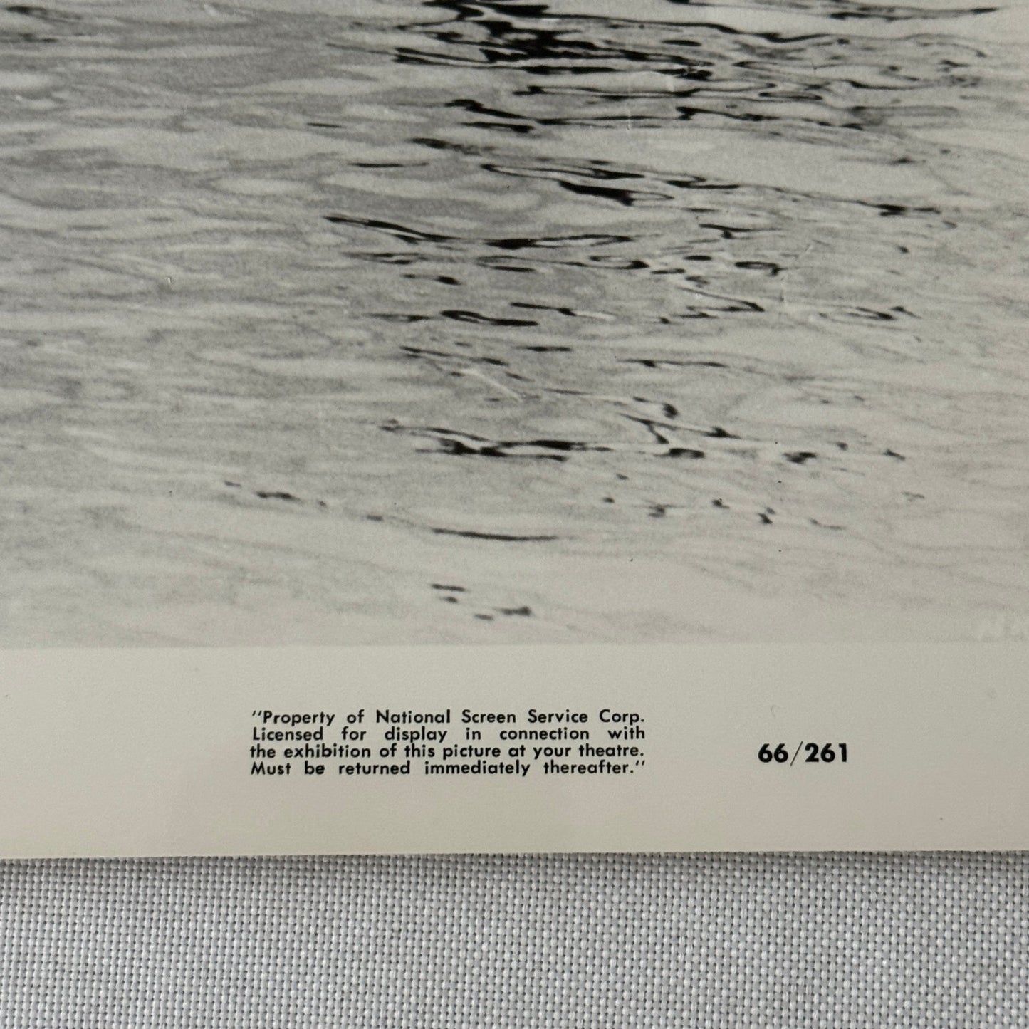 Vintage Movie Still Press Photo Photograph Namu the Killer Whale 1966