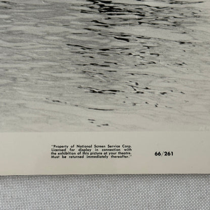 Vintage Movie Still Press Photo Photograph Namu the Killer Whale 1966