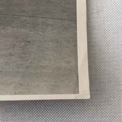 Vintage Car Racing Photo Photograph Print Alfa Romeo & Italia Cars 1952 