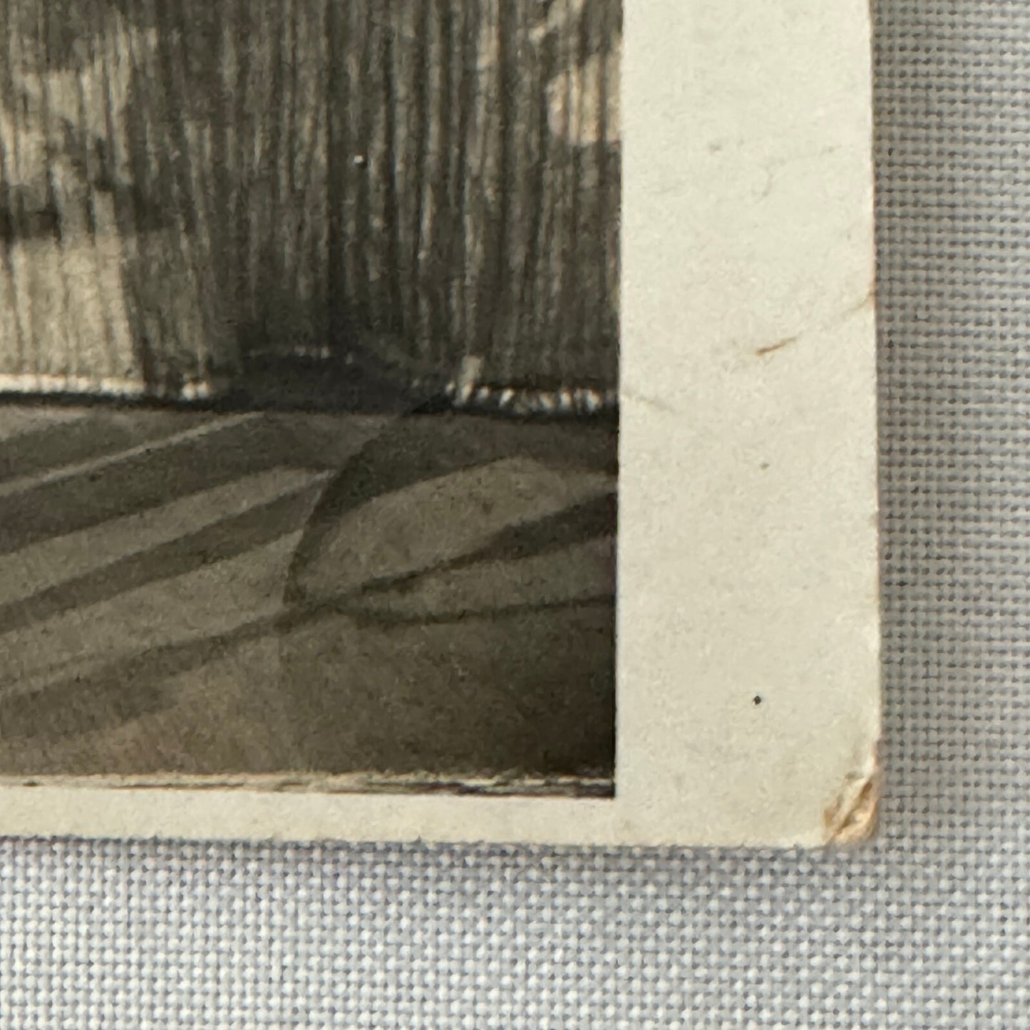 Vintage Roller Skating Act Postcard Post Card Circus The Boomgarden Patineurs