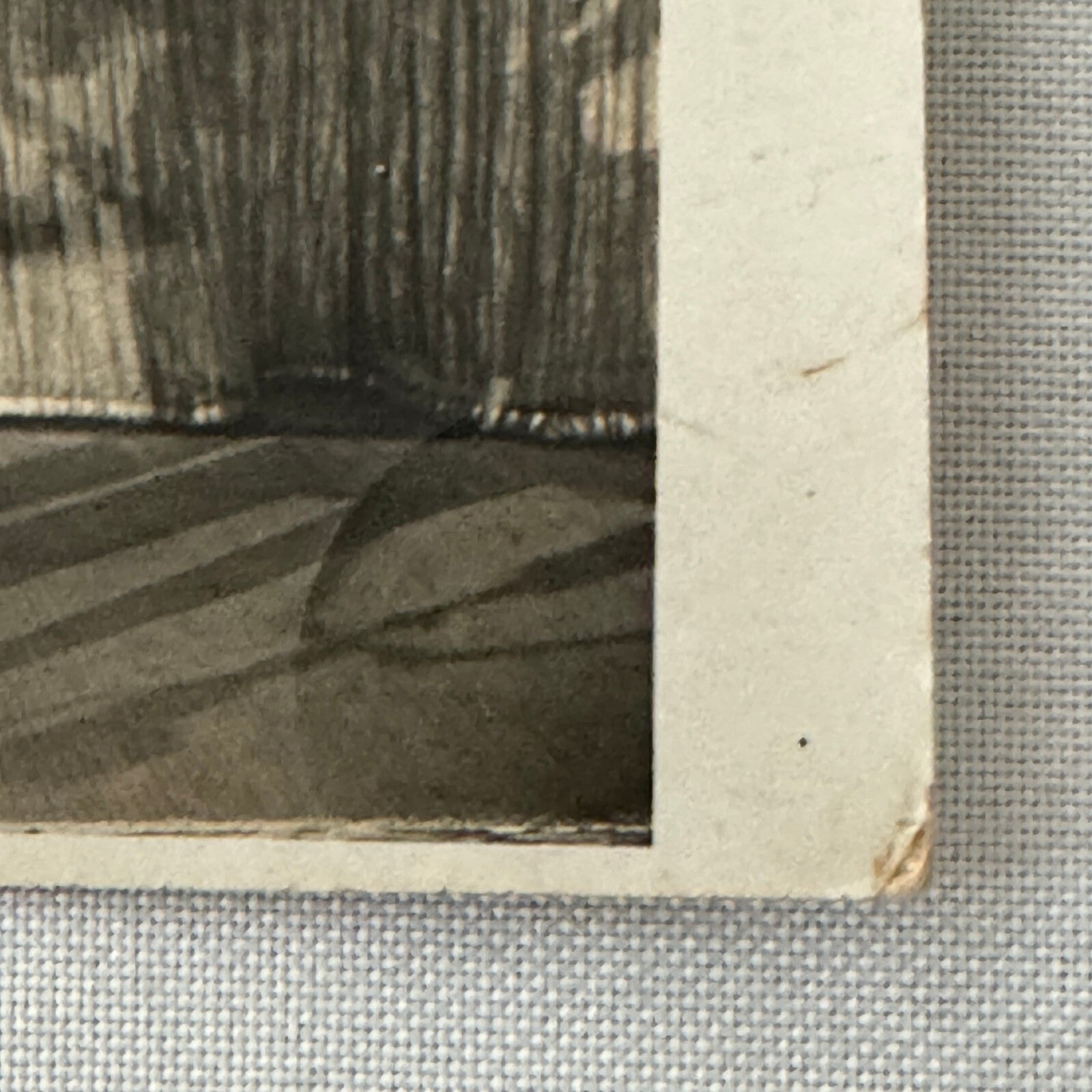 Vintage Roller Skating Act Postcard Post Card Circus The Boomgarden Patineurs