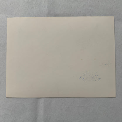 1983 Chevrolet Camaro Z28 E Factory Press Publicity Photo Photograph Print Chevy