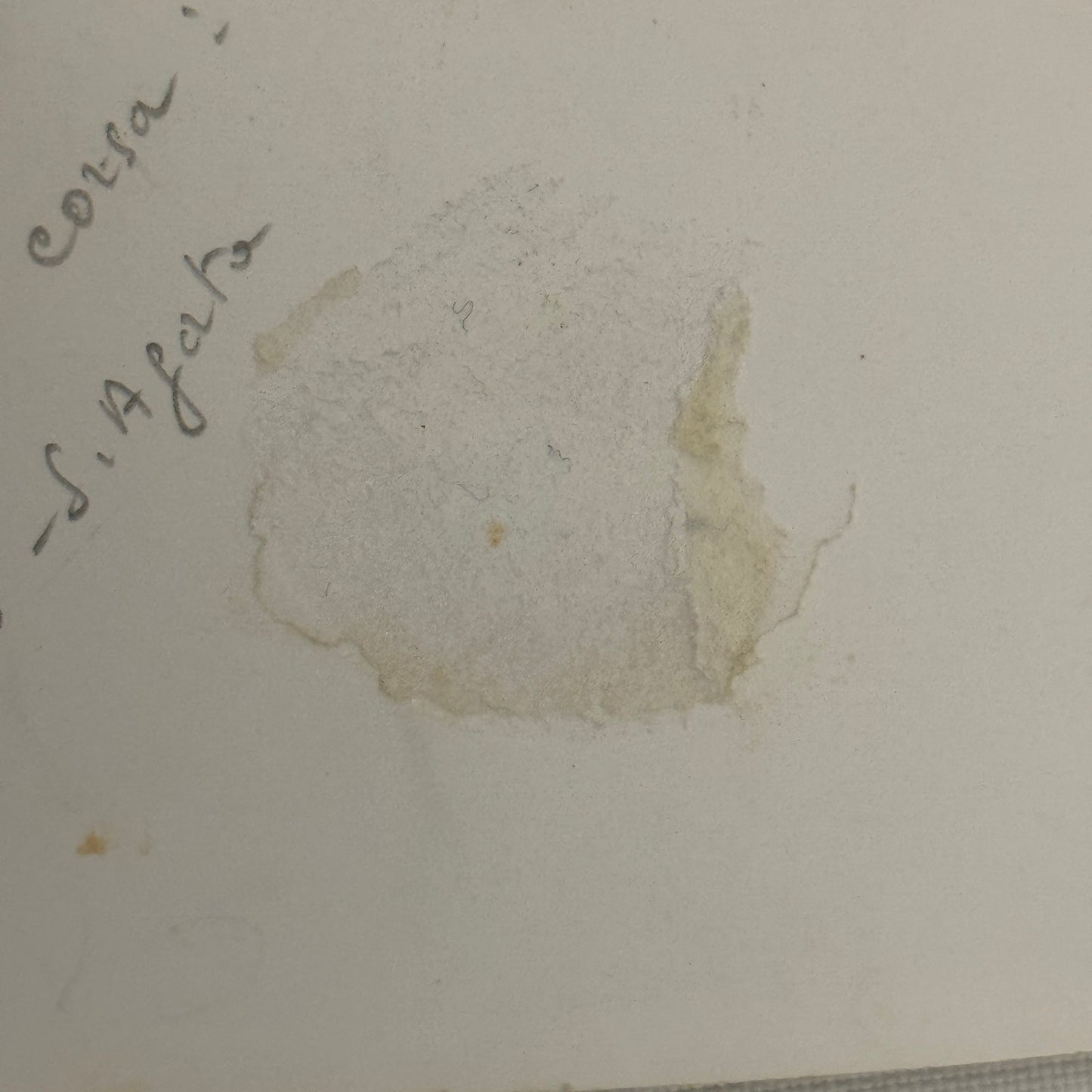 Vintage Racing Car Photo Automobile Motorsport Photograph Print